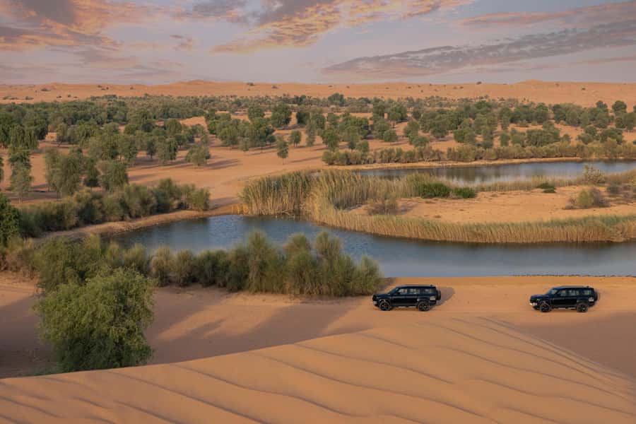 Dubai: Conservation Drive & Platinum Breakfast - Falconry, birds, and a short camel ride