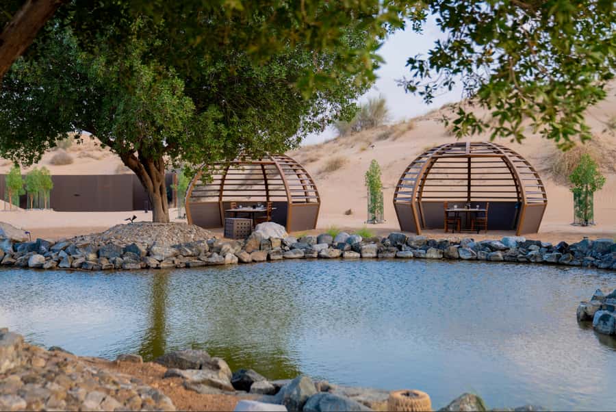 Dubai: Conservation Drive & Platinum Breakfast - Booking tips for a smoother morning