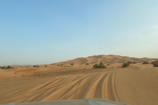 Dubai Desert Safari, Camel, Live BBQ & Shows (Private 4x4 Car) - Tanoura, belly dance, and fire performances