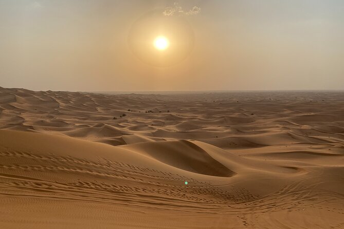Dubai Desert Safari, Camel, Live BBQ & Shows (Private 4x4 Car) - Who will enjoy this safari most