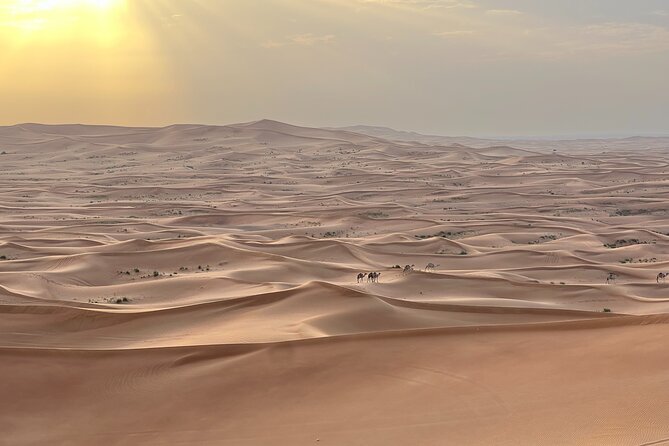 Dubai Desert Safari, Camel, Live BBQ & Shows (Private 4x4 Car) - What dune bashing feels like in the private 4x4