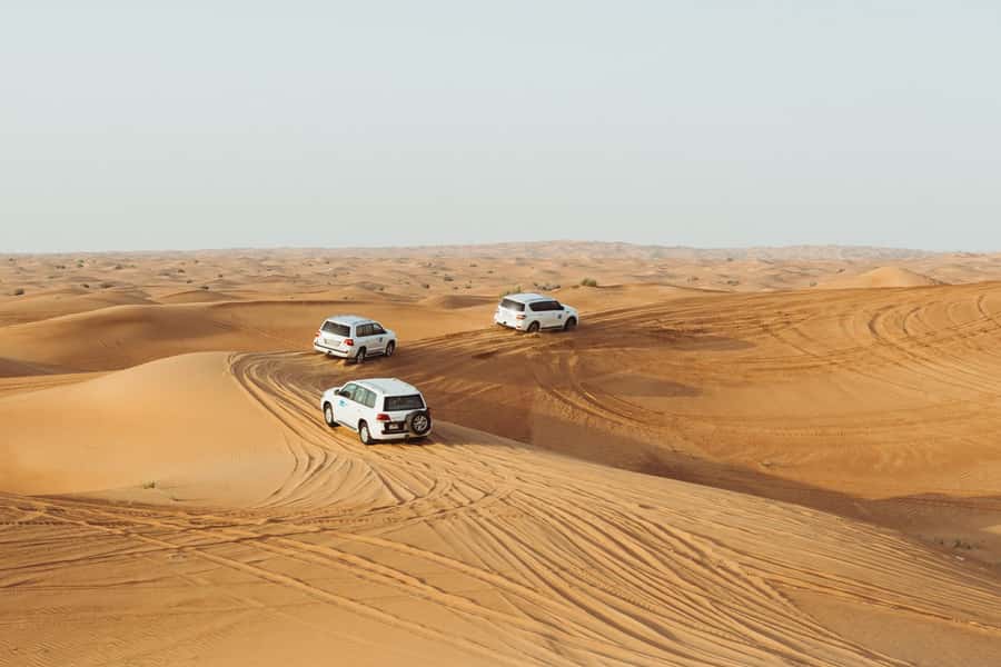 Dubai: Desert Safari, Camel Ride, and BBQ Dinner - Dune Bashing: The Main Adrenaline Hit