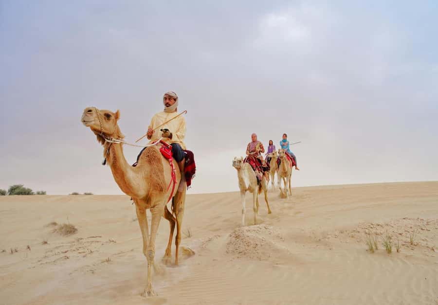 Dubai: Desert Safari, Camel Ride, Sandboard & Buffet Dinner - The 4x4 ride across the dunes