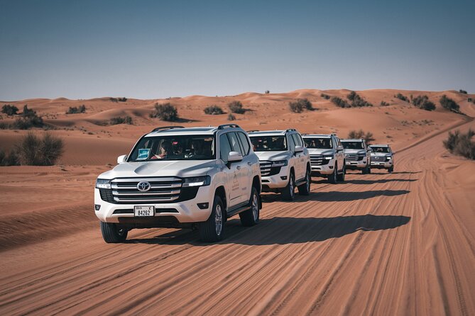 Dubai Desert Safari: Camel Ride, Sandboarding, BBQ & House Drinks - Falconry, an old desert skill