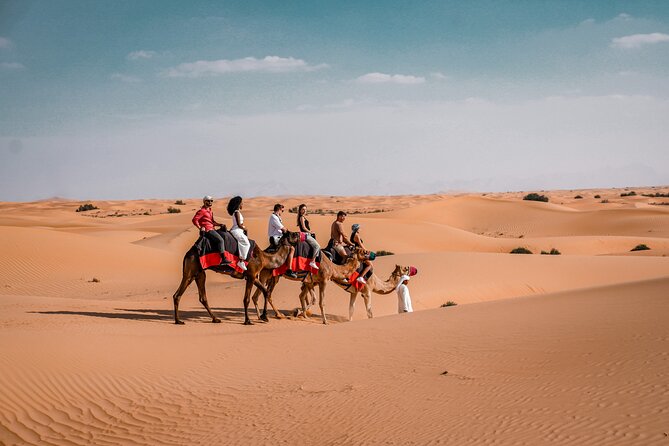 Dubai Desert Safari: Camel Ride, Sandboarding, BBQ & House Drinks - Camel riding and sandboarding