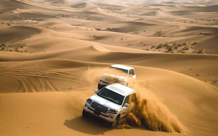 Dubai: Desert Safari, Camel Ride, Sandboarding, Quad Bike - Sandboarding on a Red Dune