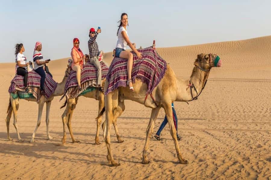 Dubai: Desert Safari Camel Riding, Sandboarding & BBQ Dinner - The seven-hour plan from Dubai to the desert