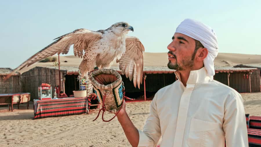 Dubai Desert Safari - Premium BBQ Dinner, Camel Ride & Shows - What the $69 price really covers