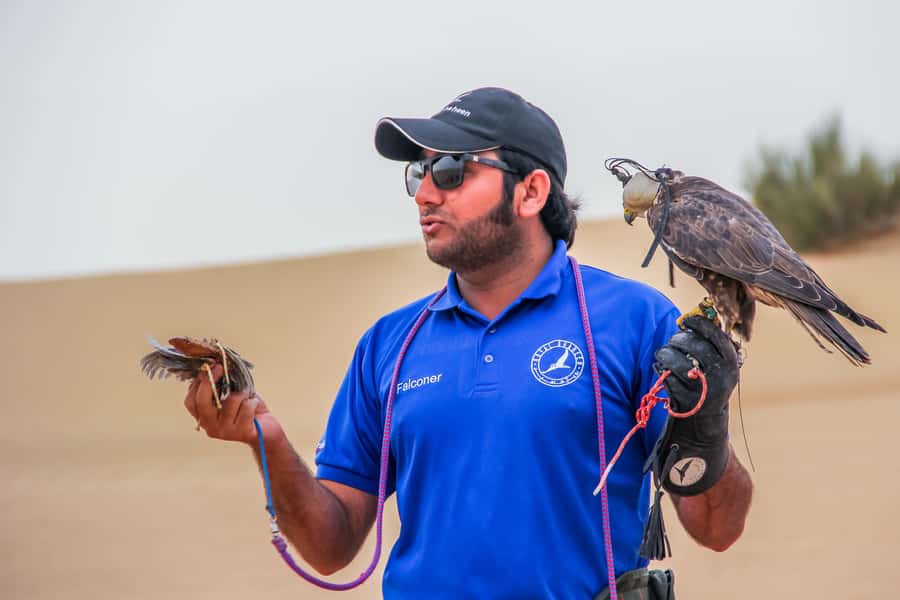 Dubai Desert Safari, Quad Biking, Camel Ride, & Sandboarding - What the $47 price really covers
