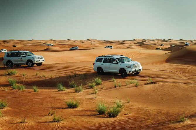Dubai Desert safari Tour with Live BBQ & Belly Dance Shows - Lahbab dune bashing and the first burst of action