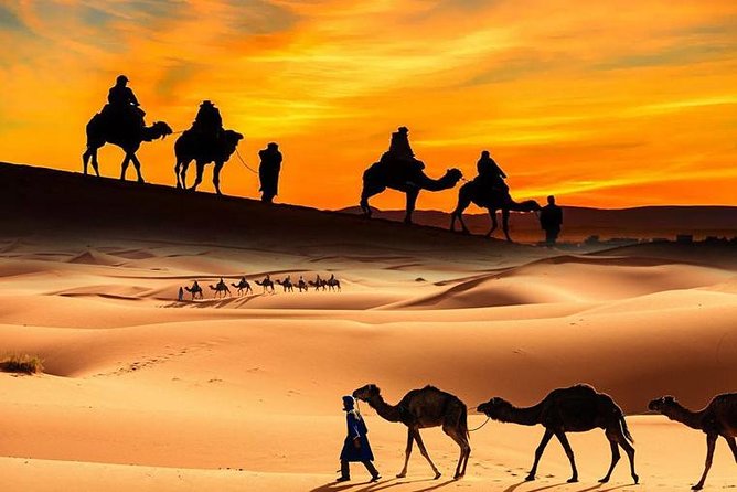 Dubai Desert Safari with BBQ, 3 Shows & Camel Ride at Majlis Camp - Pickup, shared SUVs, and the ride into the desert
