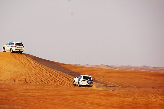 Dubai Desert Safari with BBQ, 3 Shows & Camel Ride at Majlis Camp - Sunset, sandboarding, and the camel farm stop
