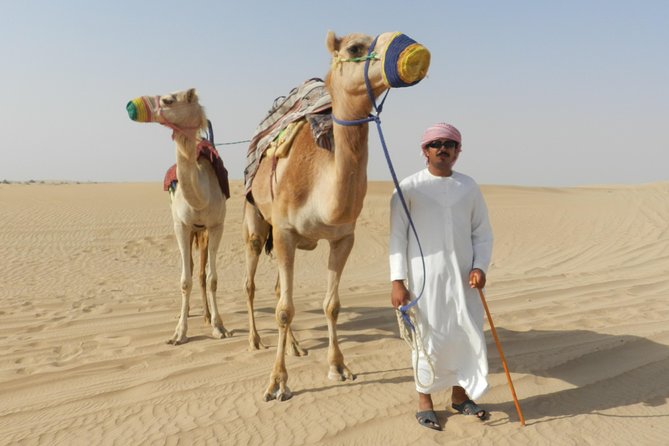 Dubai Desert Safari with BBQ, 3 Shows & Camel Ride at Majlis Camp - Majlis Camp and the short camel ride