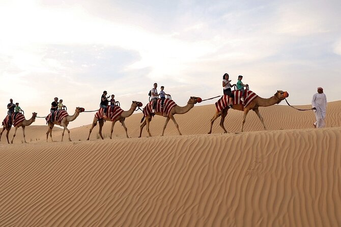 Dubai: Desert Safari with BBQ Dinner - Sunset, sandboarding, and a short camel loop