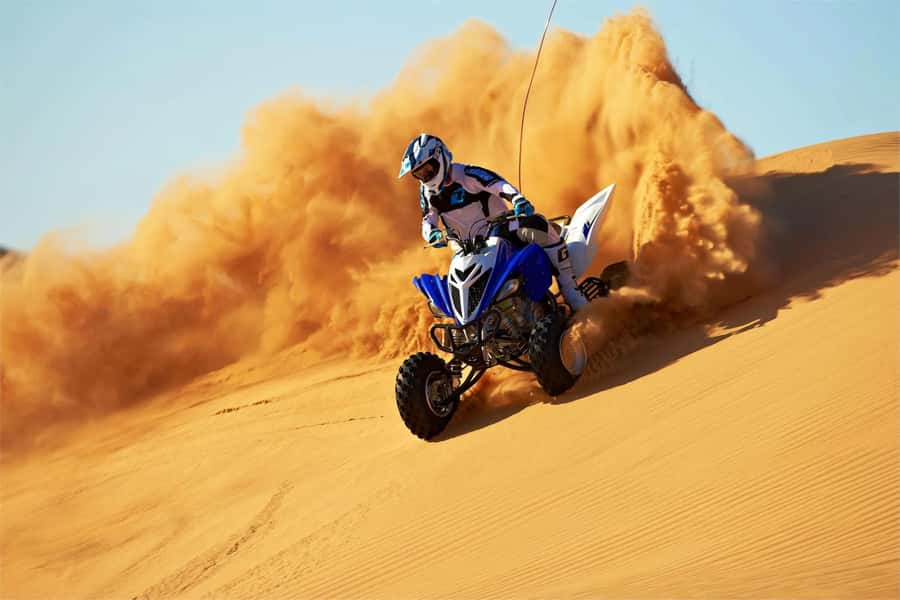 Dubai: Desert Safari with BBQ Dinner & Quad Biking Option - Who should choose each version?