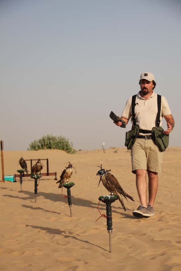 Dubai Desert Safari with Burj Khalifa (Ticket Only) - FAQ