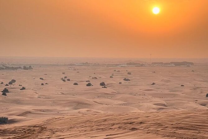 Dubai Desert Safari with Desert Camp Dinner, Camel Ride & Shows - Camel ride, falcon interaction, and camp activities