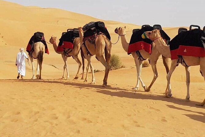 Dubai Desert Safari With Dune Bashing, Camel Ride & BBQ Dinner - From Dubai streets to Lahbab’s red dunes