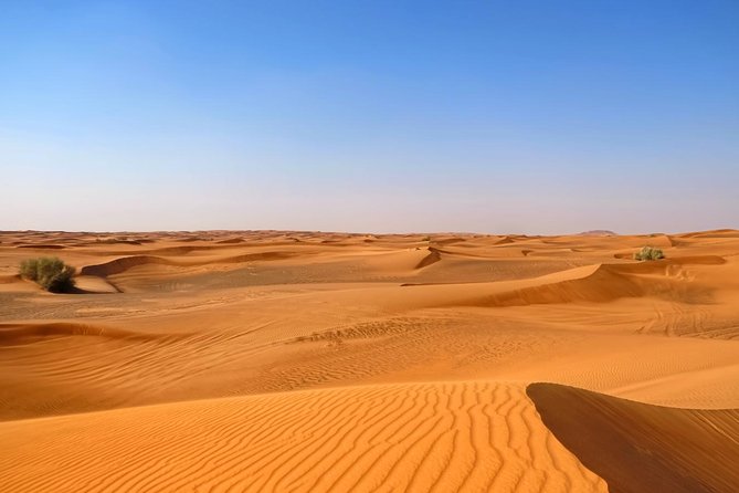 Dubai Desert Safari with Dune Bashing, Camel Rides & BBQ - The dune bash: short, rough, and memorable
