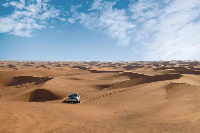 Dubai Desert Safari with Dune Bashing, Camel Rides & BBQ - Falconry, henna, and Arabic dress