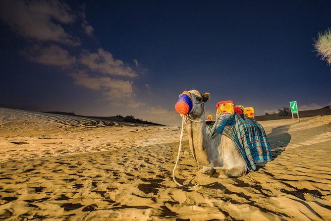 Dubai Desert Safari with Quad Bike, sandboarding, live show & BBQ - Pickup in Dubai and the ride to the sand