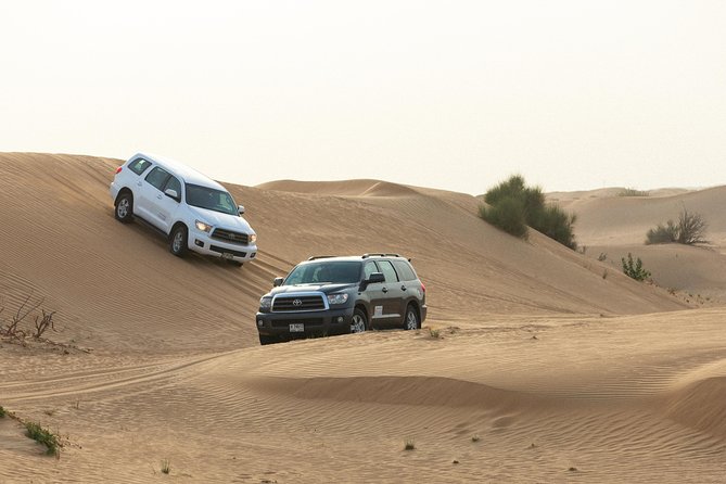 Dubai Desert Safari with Quads, BBQ Dinner, Camel ride, & Shows - BBQ dinner under the evening sky