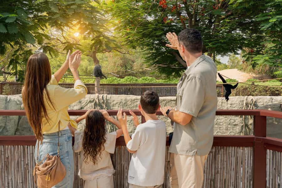 Dubai: Dubai Safari Park Entry Pass - What the $13 Dubai Safari Park ticket really gives you