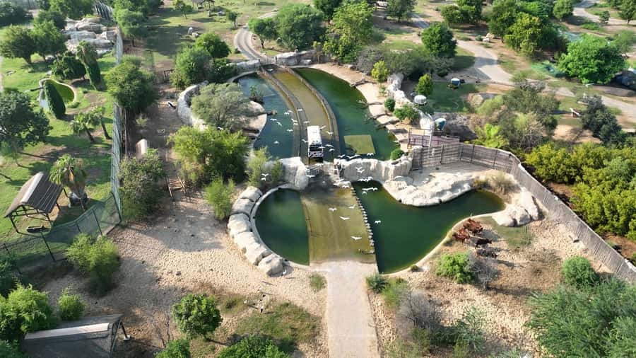 Dubai: Dubai Safari Park Entry Pass - African Village: the park’s big animal area