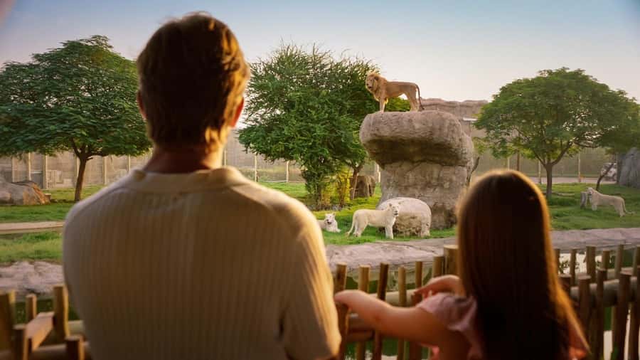 Dubai: Dubai Safari Park Entry Pass - Explorer Village and the close-up safari bus