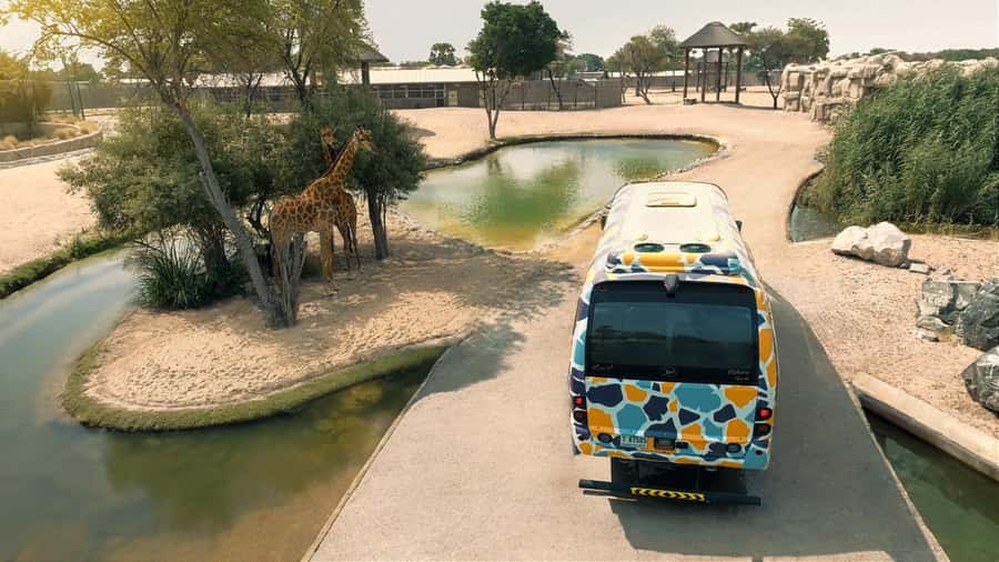 Dubai: Dubai Safari Park Entry Pass - Kids Farm: the easiest family win