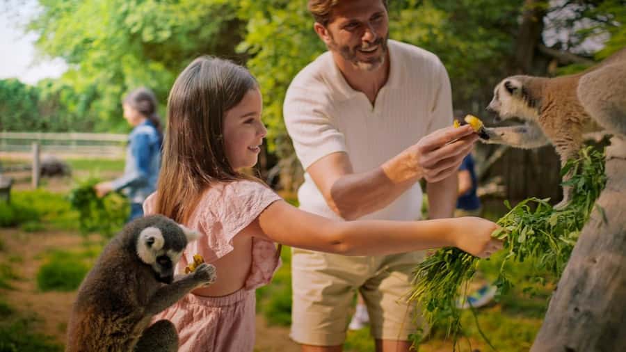 Dubai: Dubai Safari Park Entry Pass - Grand Aviary and the live presentations