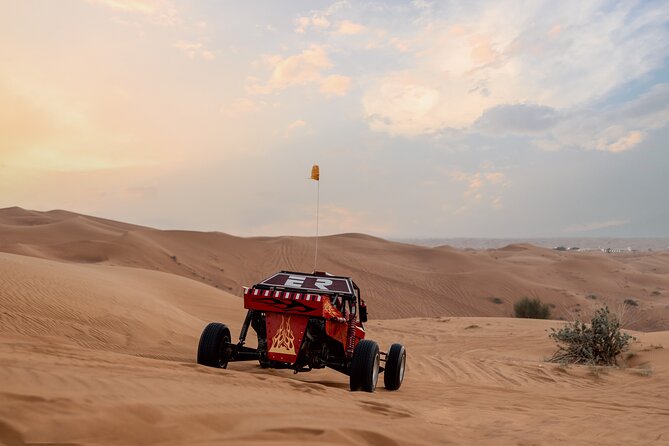 Dubai Dune Buggy Safari Tour in Red Dunes Options - Who Should Book This Desert Tour?