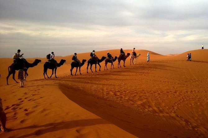 Dubai Evening 4x4 Desert Safari ATV Bike ,Camel Ride , BBQ Dinner - Practical Details Before You Book
