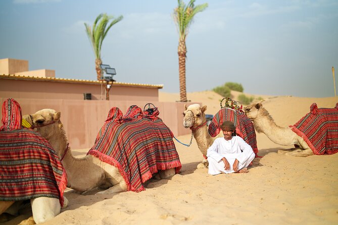 Dubai Evening Desert Safari BBQ Dinner & Transfer to Noble Camp - Booking and cancellation details that matter