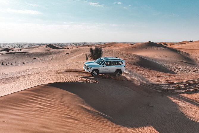 Dubai Evening Desert Safari: Sandboarding, BBQ, Camel Ride & more - Camel riding gives you a brief taste of desert travel