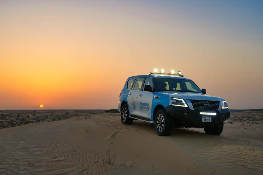 Dubai: Evening Desert Safari with Camel Ride & Stargazing - From Dubai hotels to the red dunes