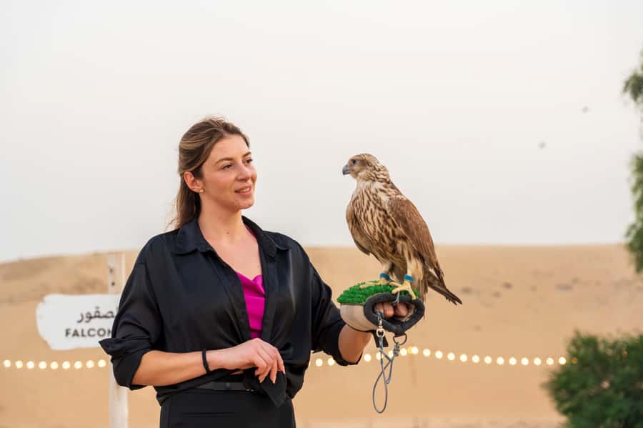 Dubai: Evening Desert Safari with Camel Ride & Stargazing - Falcon photographs, horses, and a moonlit camel ride