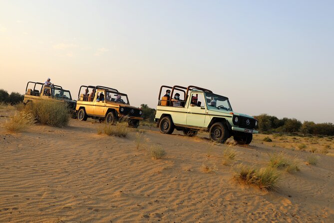 Dubai Evening Heritage Safari by Vintage G Class Al Marmoom Oasis - The Bedouin village gives the evening a sense of place