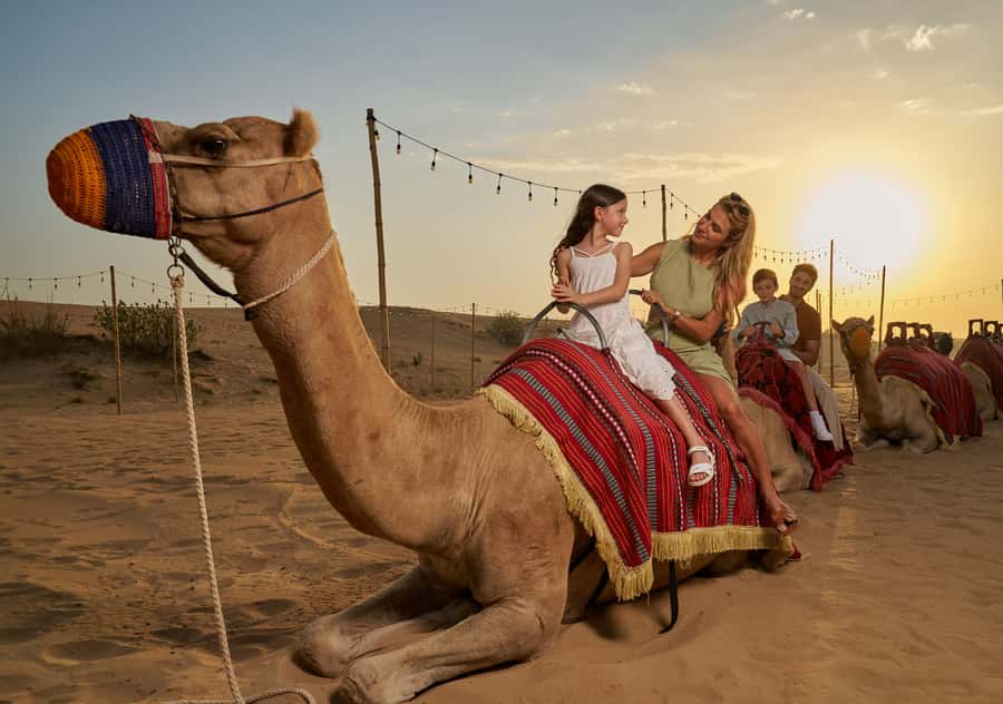 Dubai: Exclusive VIP Desert Safari Dinner with Live Show - Why this safari feels different from a basic desert trip
