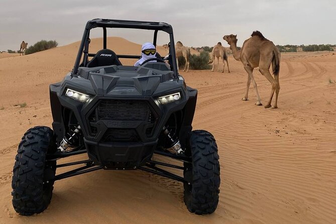 Dubai: Extreme Red Dune Buggy Desert Safari Adventure - Is $124.31 a fair price?