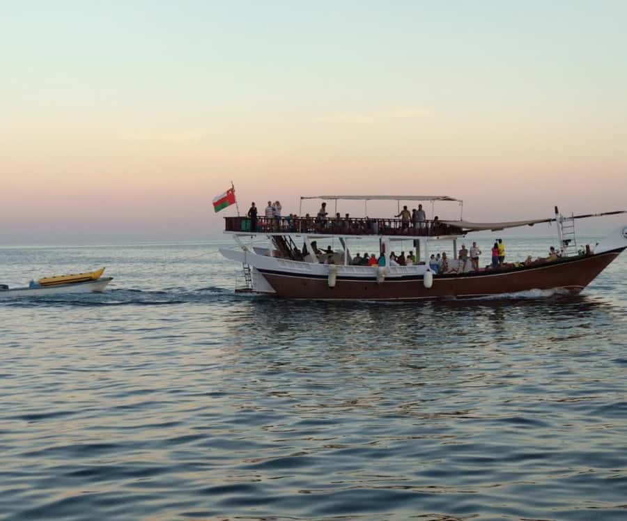 Dubai: Full-Day Sea Safari to Musandam - Who should book this Musandam tour?