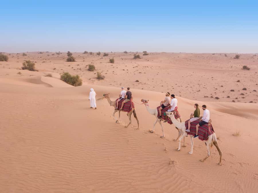 Dubai: Heritage Camel Desert Safari with Traditional Dinner - Why this safari feels different from a standard Dubai desert trip