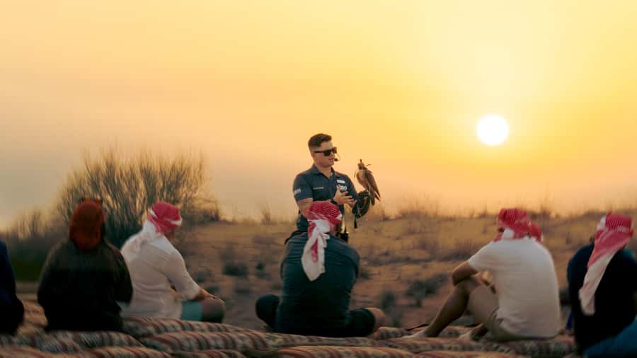 Dubai: Heritage Safari in Vintage Land Rover with Dinner - Falconry at the best hour of the day