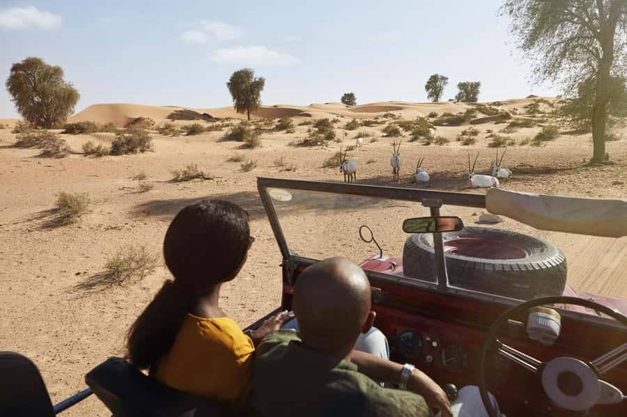 Dubai: Heritage Safari in Vintage Land Rover with Dinner - A four-course Emirati dinner with regional flavors