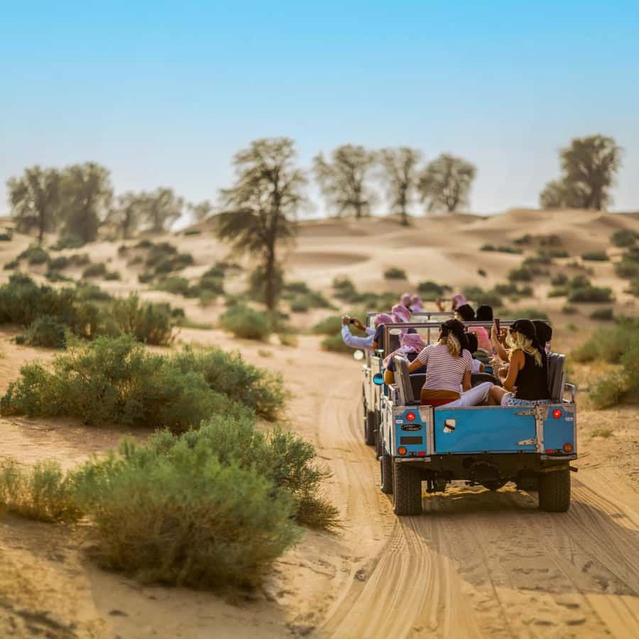Dubai: Heritage Safari in Vintage Land Rover with Dinner - Wildlife in the Dubai Desert Conservation Reserve