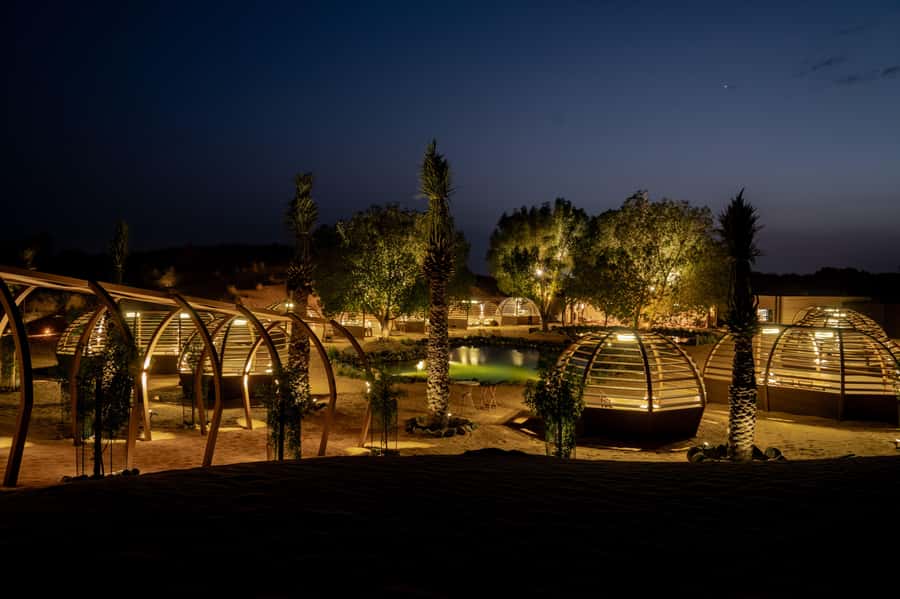 Dubai: Luxury Safari with Michelin-Curated 5-Course Dinner - Inside the Dubai Desert Conservation Reserve