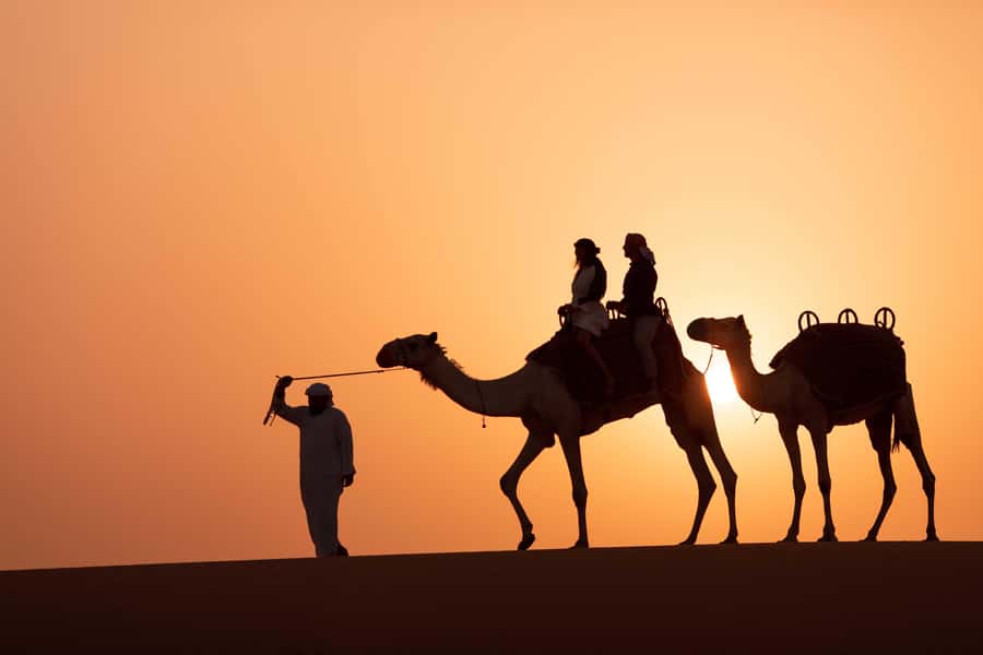 Dubai: Luxury Safari with Michelin-Curated 5-Course Dinner - What $531 gets you