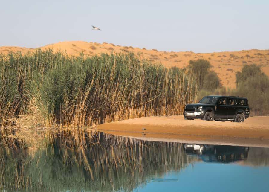 Dubai: Luxury Safari with Michelin-Curated 5-Course Dinner - Sunset falconry with canapés