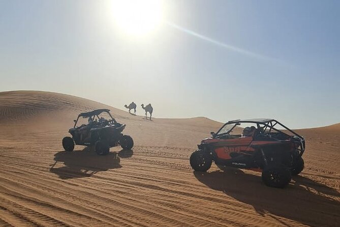 Dubai Morning Buggy Dunes Safari with Sandboarding & Camel Ride - Is $137 good value?