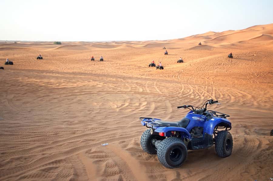 Dubai: Morning Desert Safari - Who Will Get the Most From This Safari